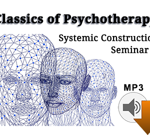 Systemic Constructions Seminar